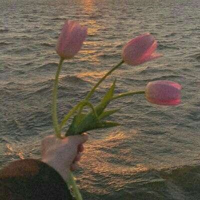 三张牌下载金花免费app下载